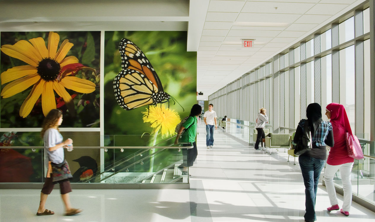 A group of people walking down a hallway with a mural of a butterfly.