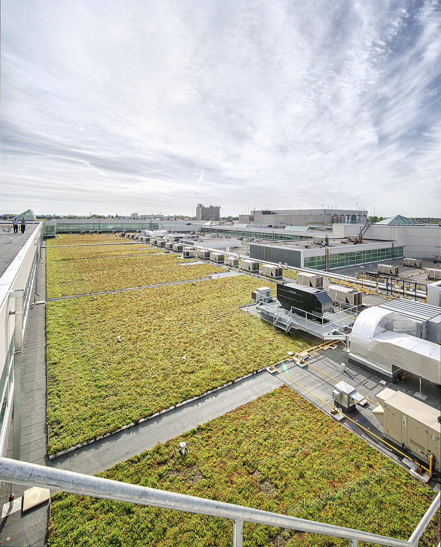 A green roof on top of a building.