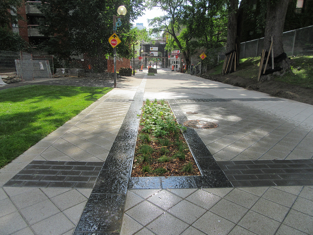 A sidewalk with a planter in the middle of it.