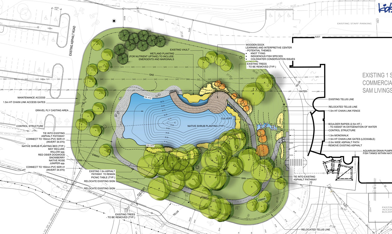 A plan for a park with a pond and trees.