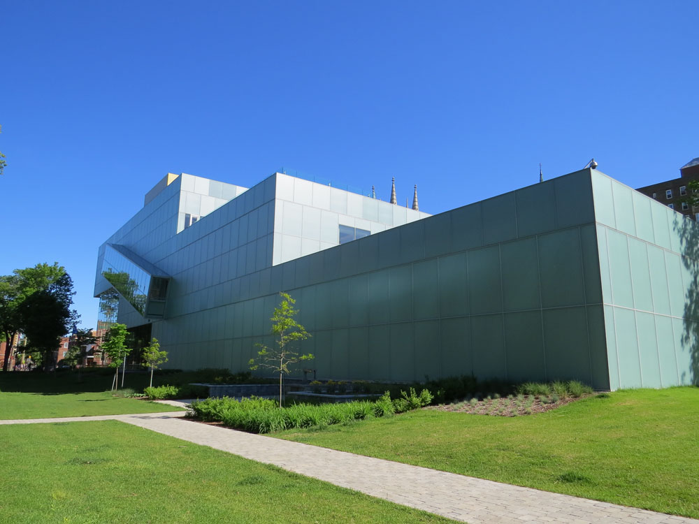 A green grassy area near a building.