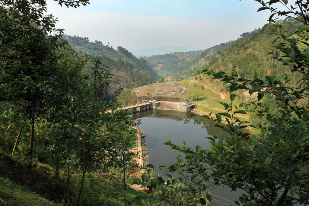 Un barrage au milieu d'une forêt.