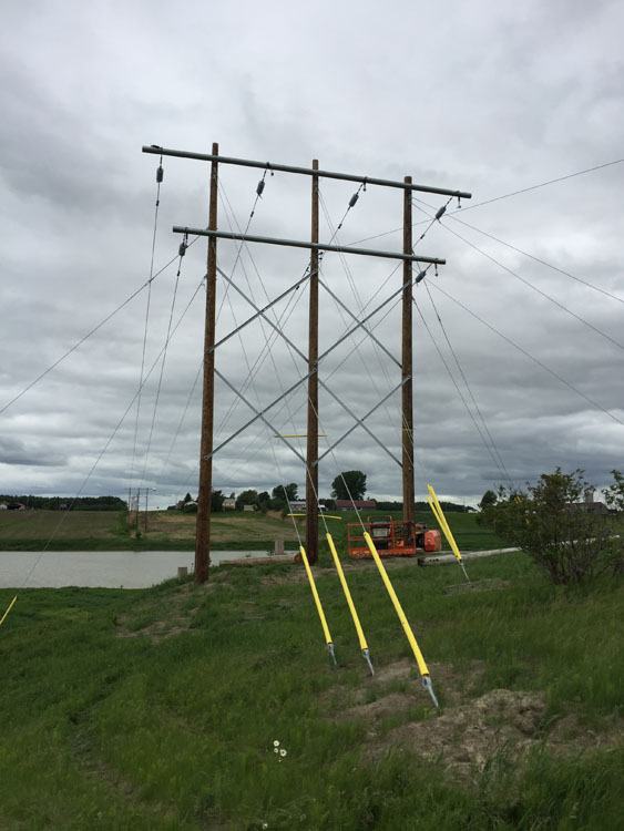 Un poteau électrique à côté d’un champ herbeux.