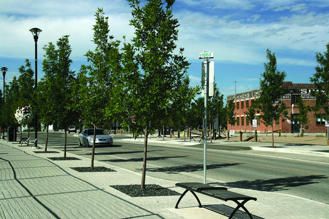 A sidewalk with a bench and trees.