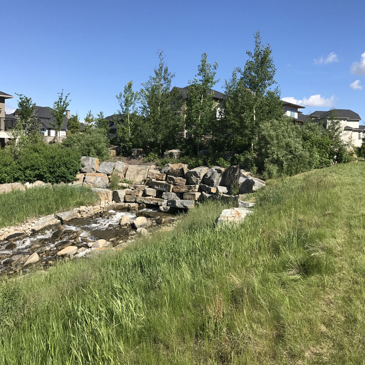 A stream runs through a grassy area near some houses.