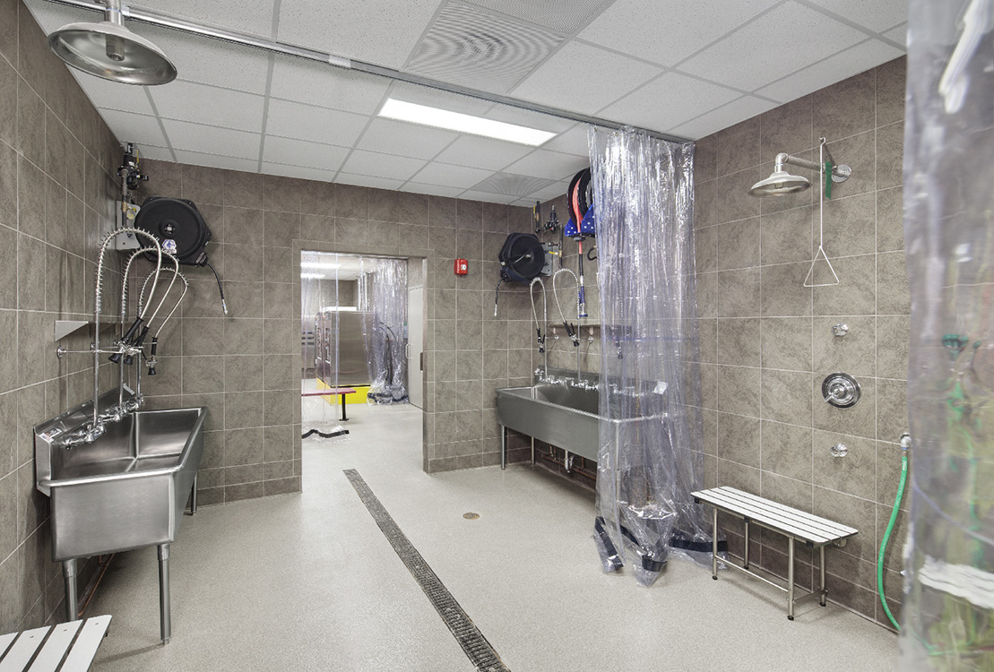 A bathroom with two sinks and a shower.