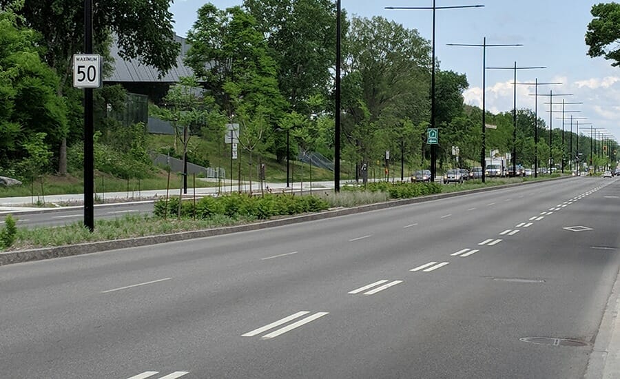 Une rue sans voiture et des arbres en arrière-plan.