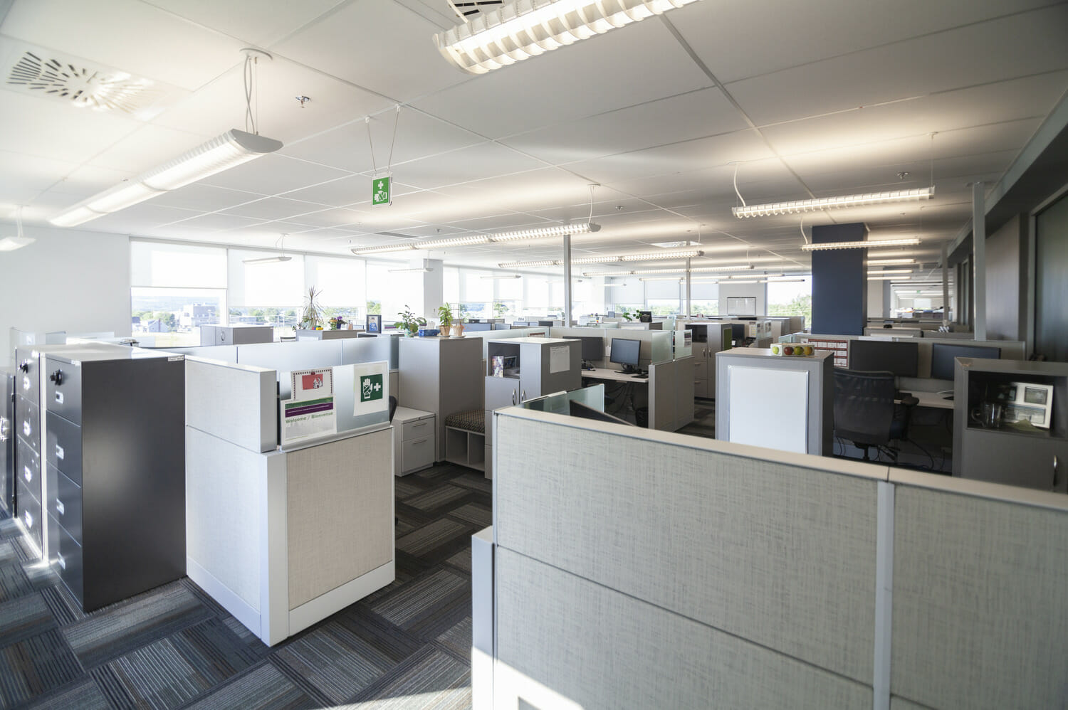 Un bureau vide avec de nombreuses cabines et bureaux.