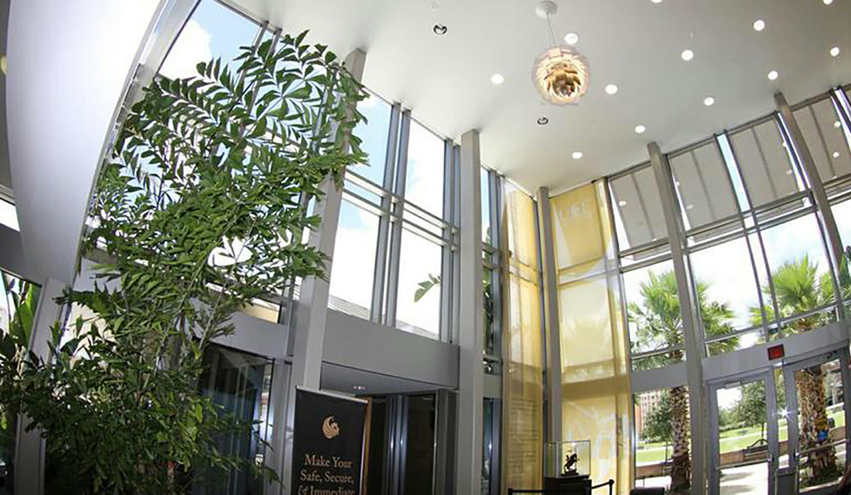 A lobby with large windows and a plant.