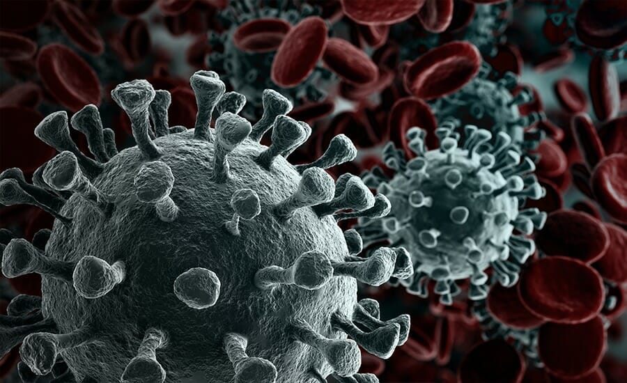 Coronaviruses are surrounded by red blood cells.