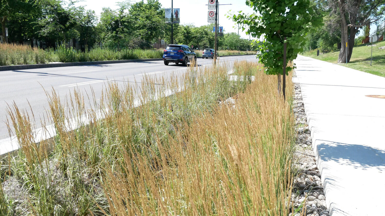 Une rue avec de l'herbe le long de la route.