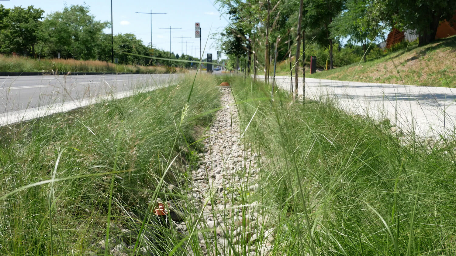 Une zone herbeuse à côté d'une route.