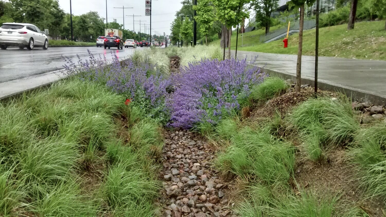 Une rue avec des fleurs violettes et de l'herbe à côté d'une route.
