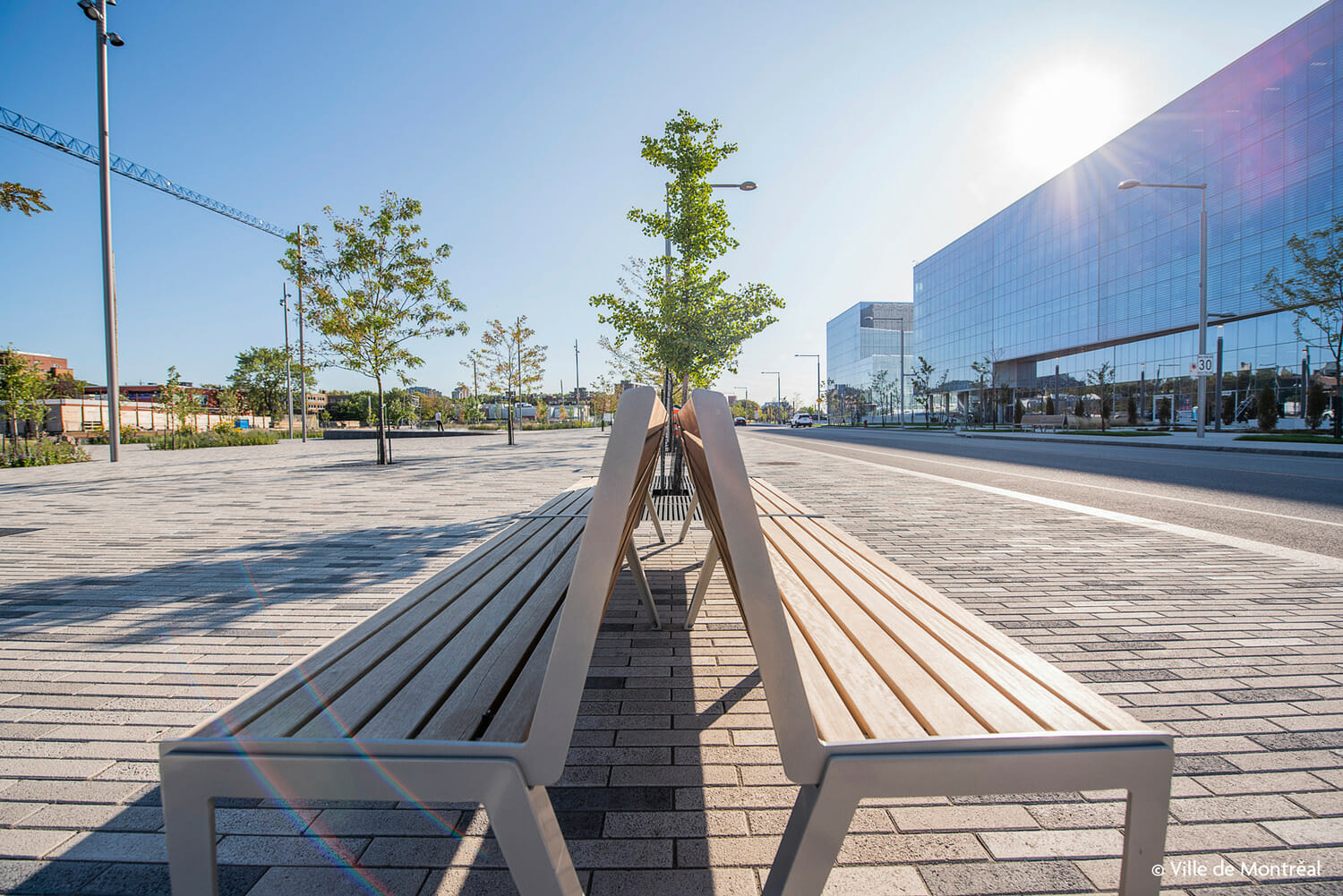 Un banc est posé sur un trottoir à côté d’un arbre.