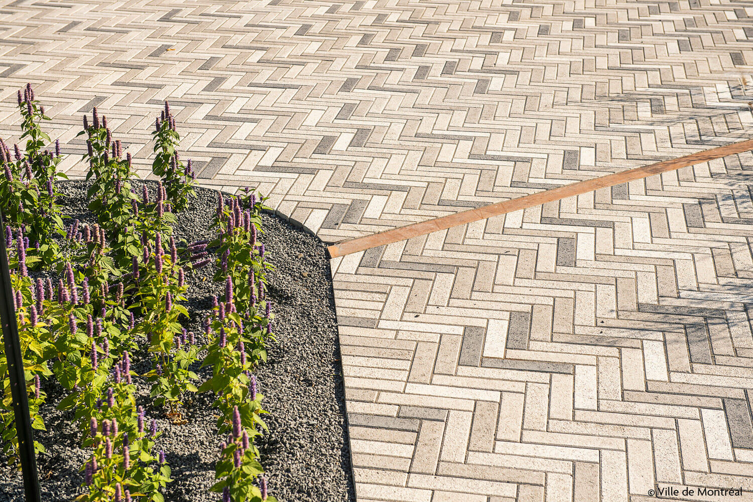 A brick walkway with a flower bed in the middle.