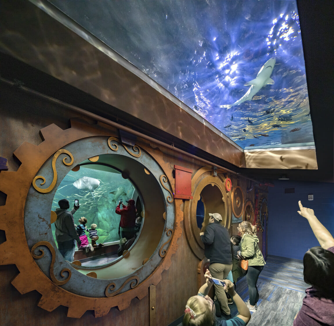 A group of people looking at fish in an aquarium.