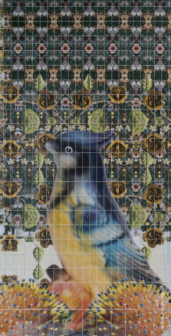 An image of a bird on a tiled wall.