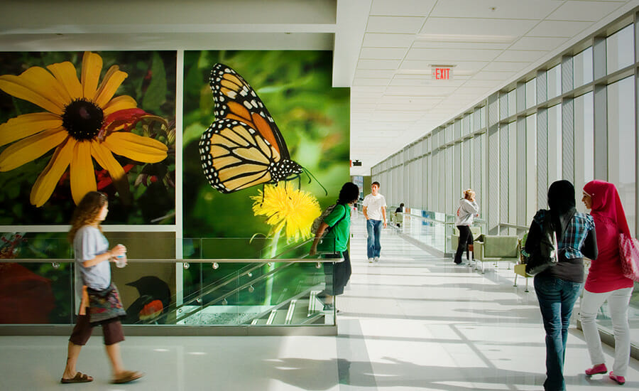 A group of people walking down a hallway with a mural of a butterfly.