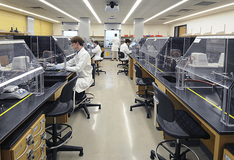 A group of people working in a lab.