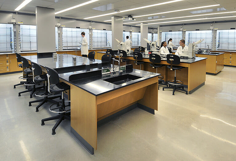 A group of people working in a lab.