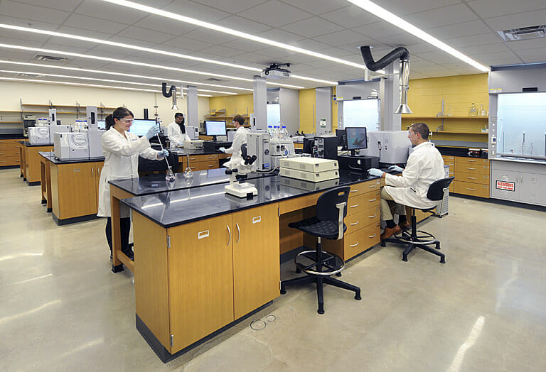 A group of people working in a lab.