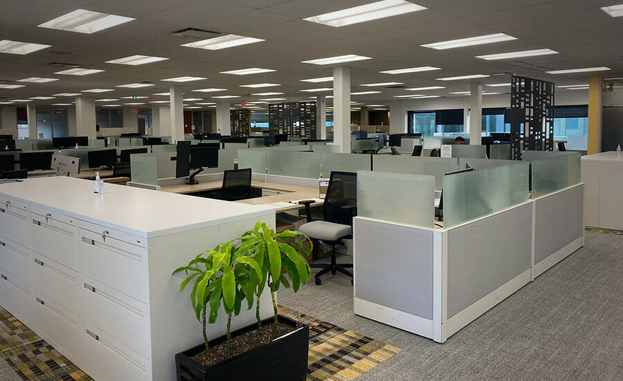 An empty office with white desks and a plant.