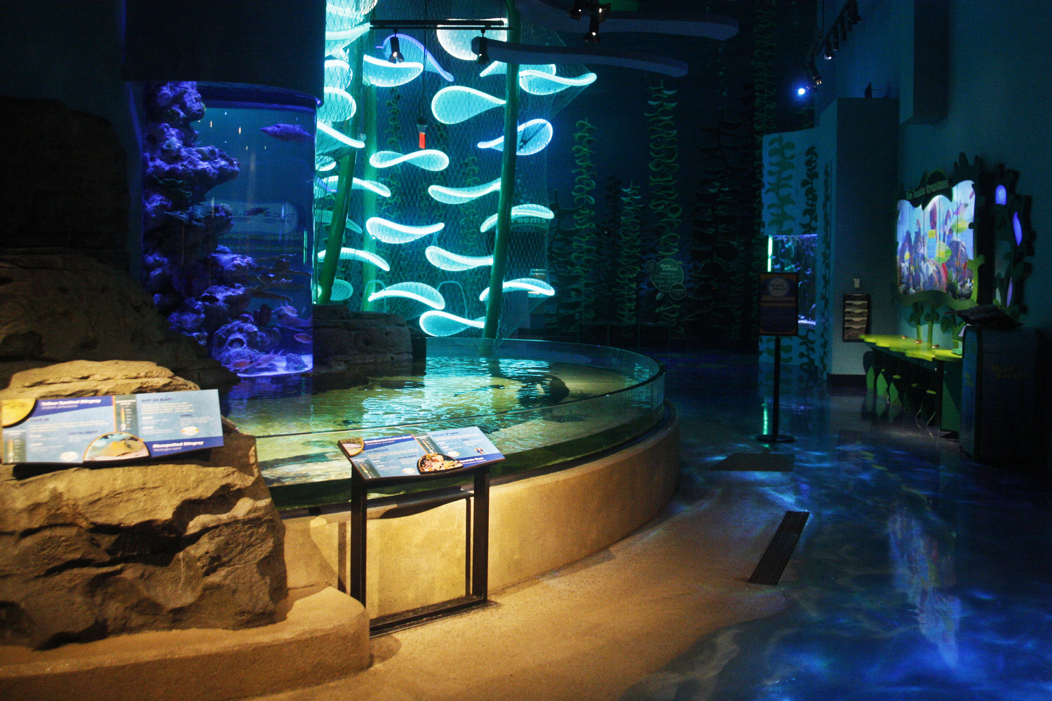 A fish tank in a museum.