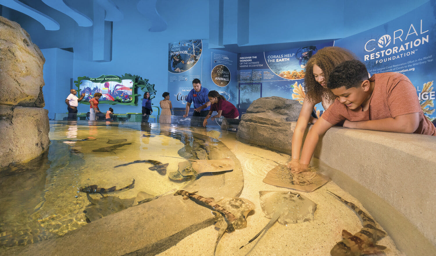 A group of kids looking at fish in an aquarium.