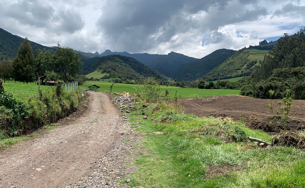 A dirt road with mountains in the background.