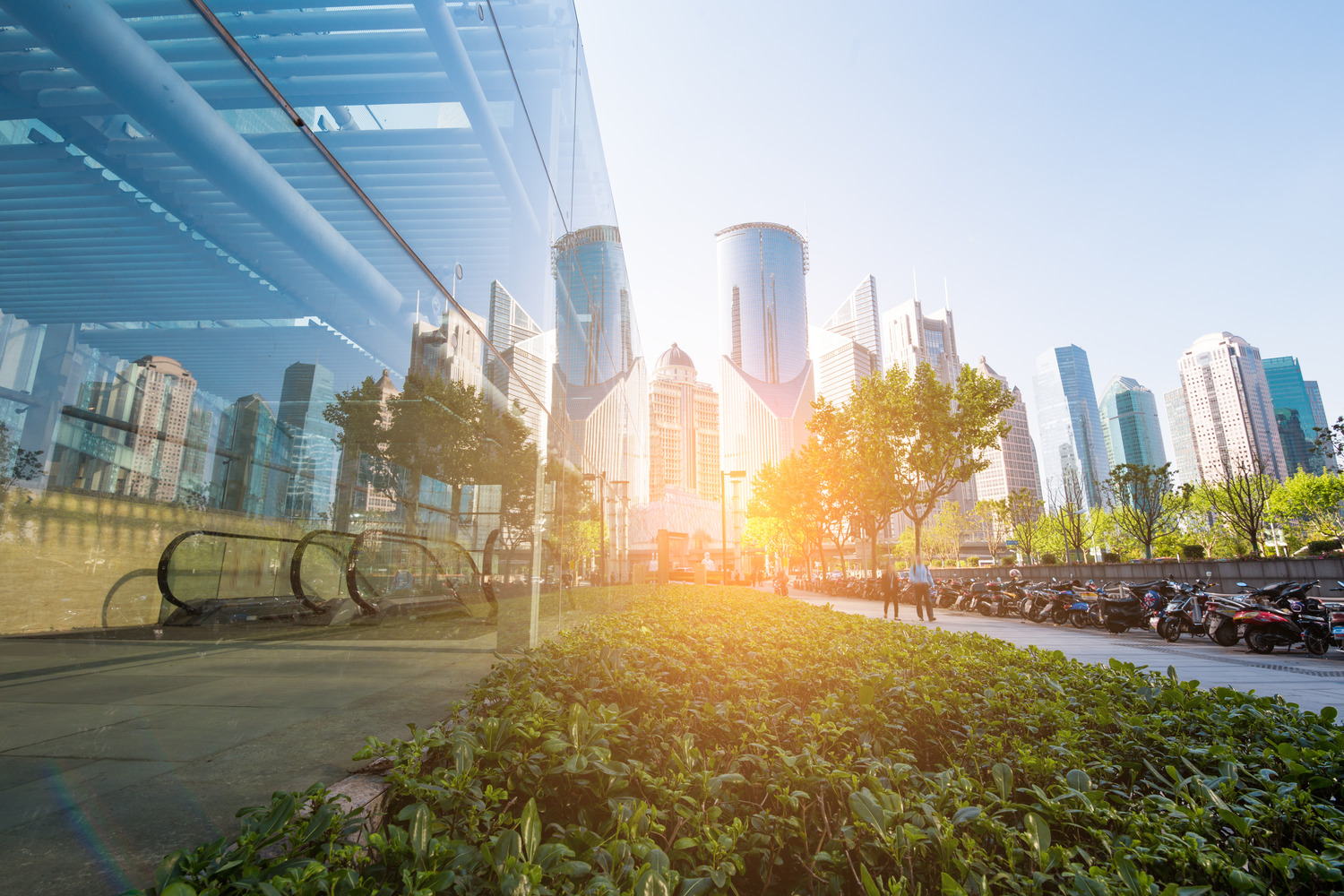 Modern urban landscape featuring skyscrapers, a glass building facade, and a sunlit city sidewalk with greenery.