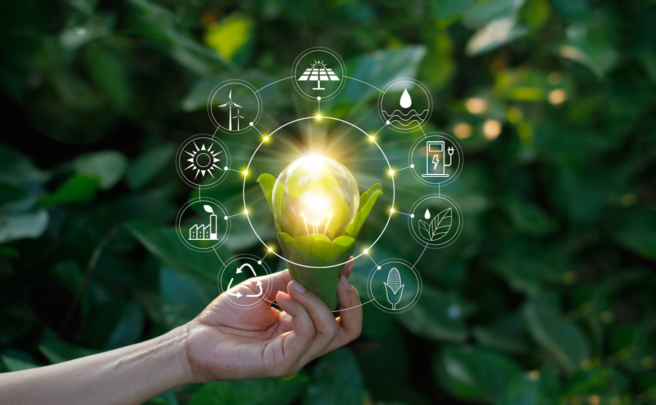 Main tenant une ampoule lumineuse avec une base végétale, entourée d'icônes écologiques, symbolisant l'énergie durable.