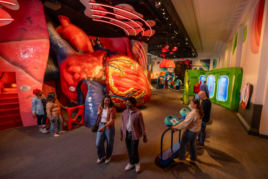 Visitors explore a science museum exhibit featuring a large anatomical heart model and interactive displays.