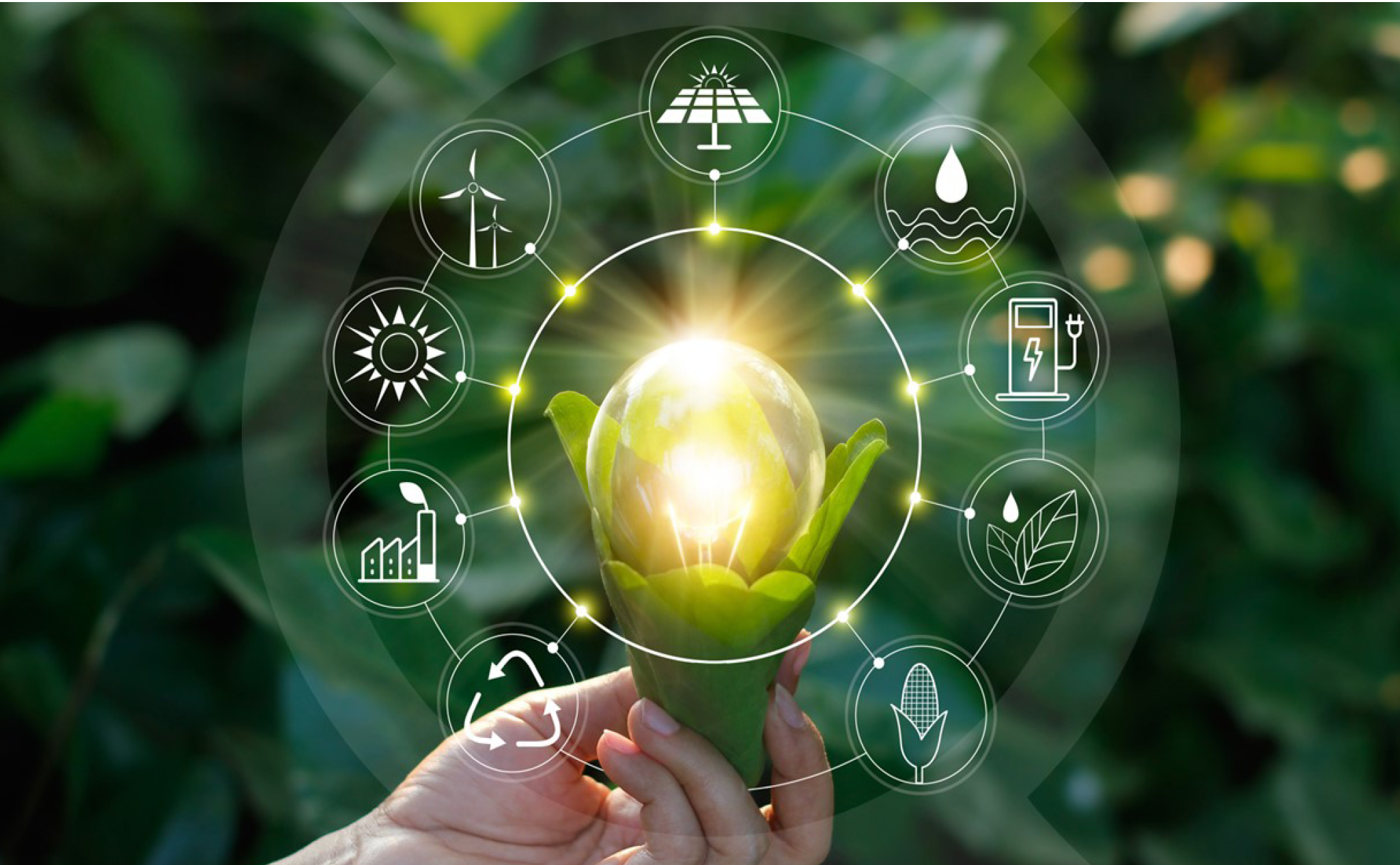 Une main tient une plante incandescente entourée d'icônes de l'énergie et du développement durable, représentant des concepts tels que l'énergie solaire, l'énergie éolienne, l'eau et les technologies vertes.