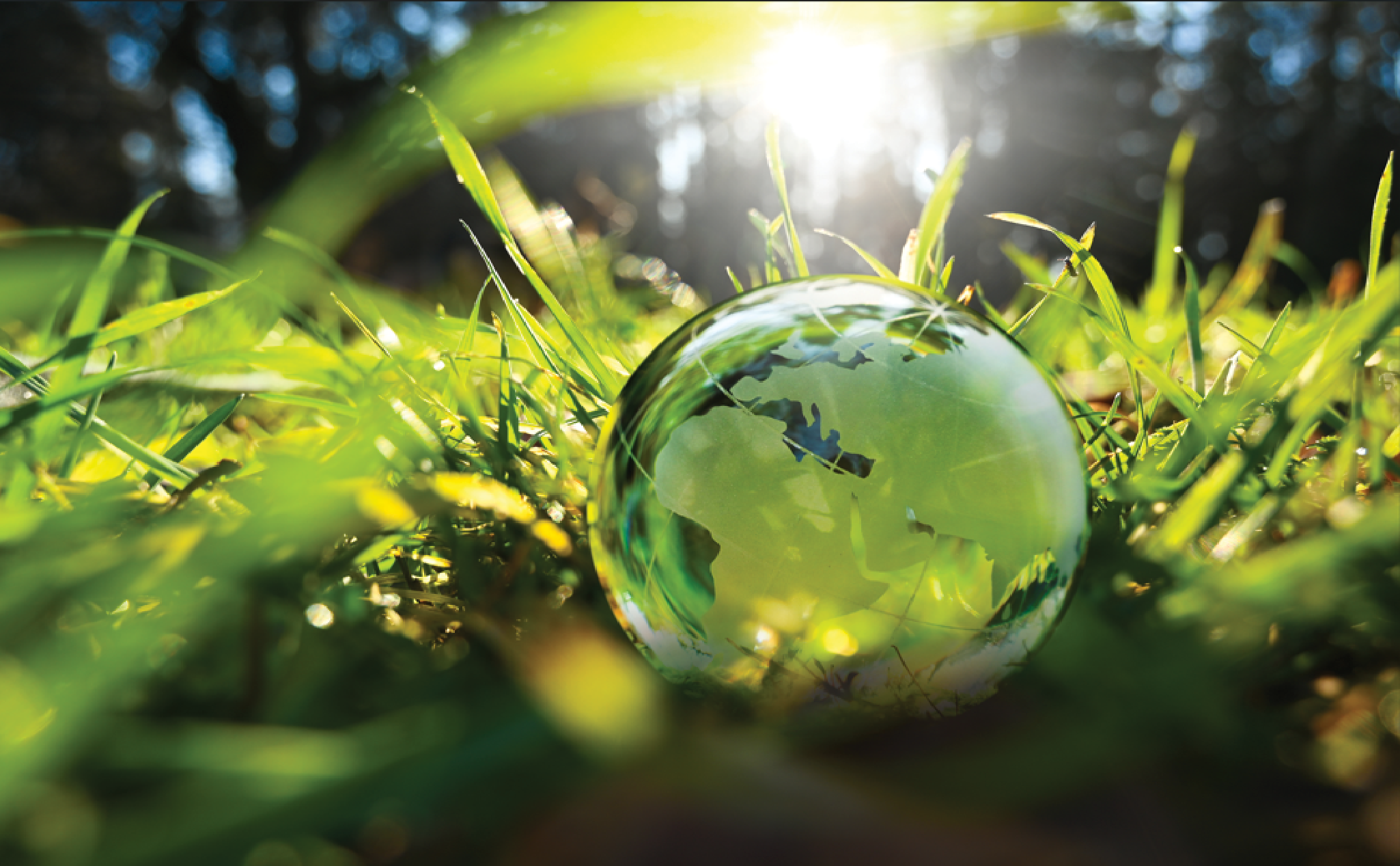 Un globe de verre repose sur une pelouse verte traversée par la lumière du soleil, symbolisant la sensibilisation à l'environnement et la protection de la nature à l'échelle mondiale.