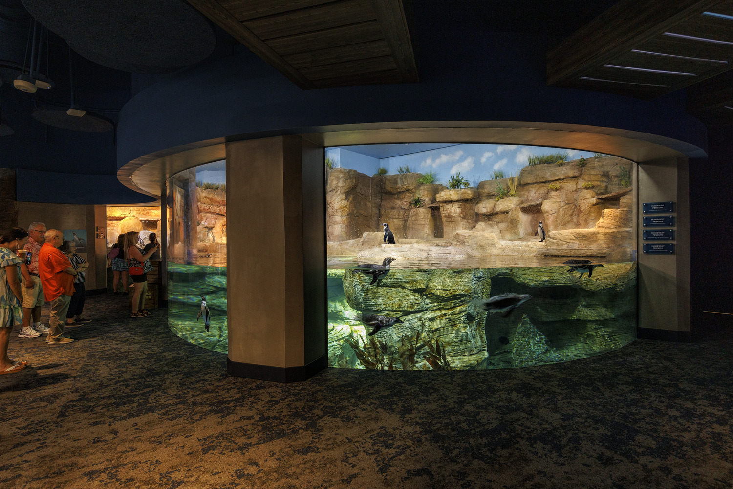 Visitors observe penguins swimming and walking inside a large, curved glass aquarium display with a rocky habitat background.