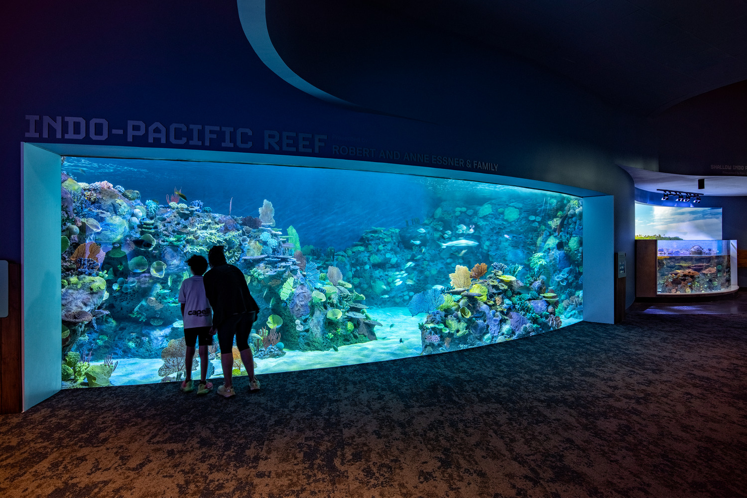 Two people stand in front of a large aquarium exhibit labeled 