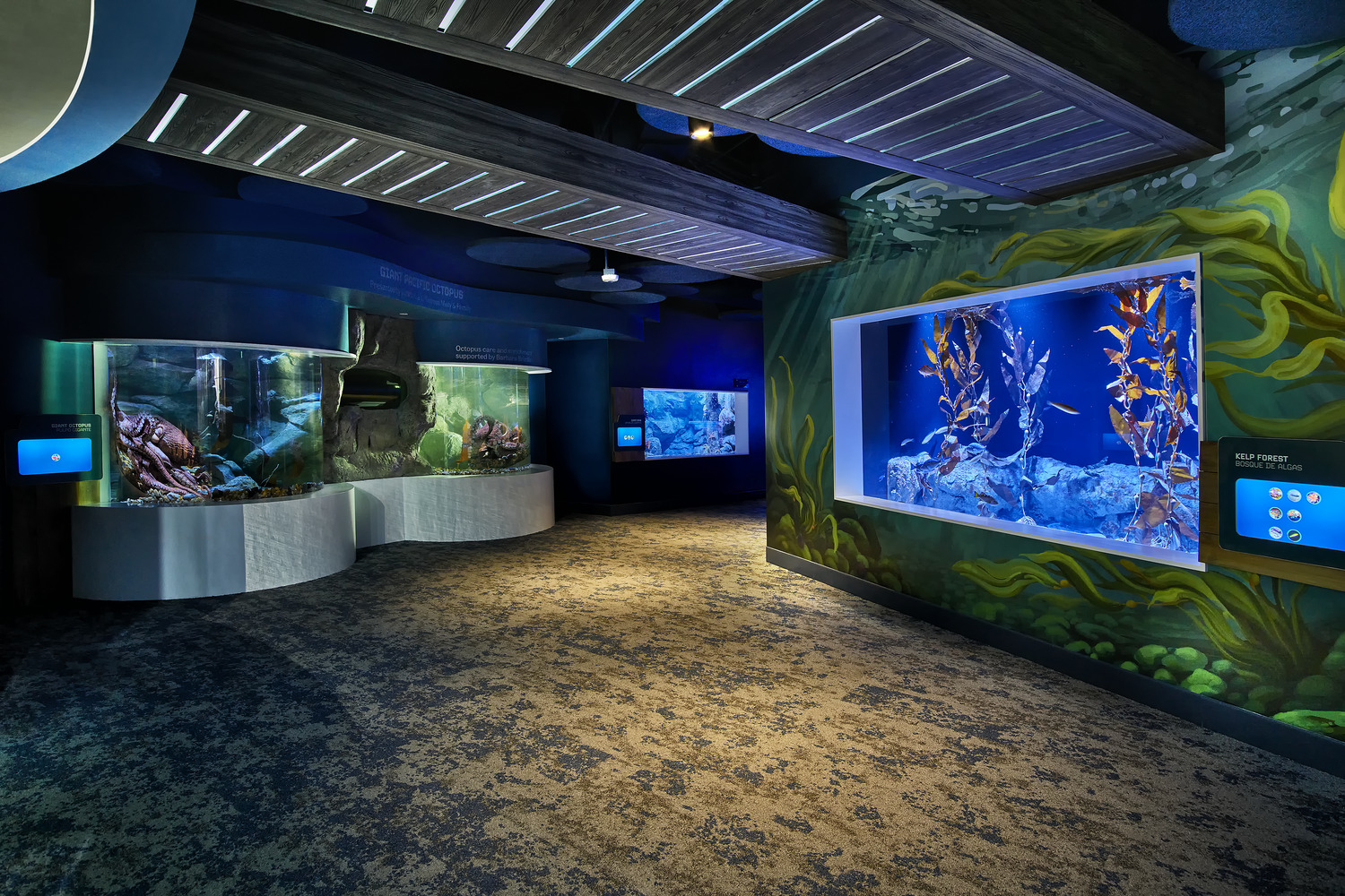 An indoor aquarium exhibit features large, well-lit fish tanks with aquatic plants and fish, interactive screens, and ocean-themed decor along the walls and carpeted floor.