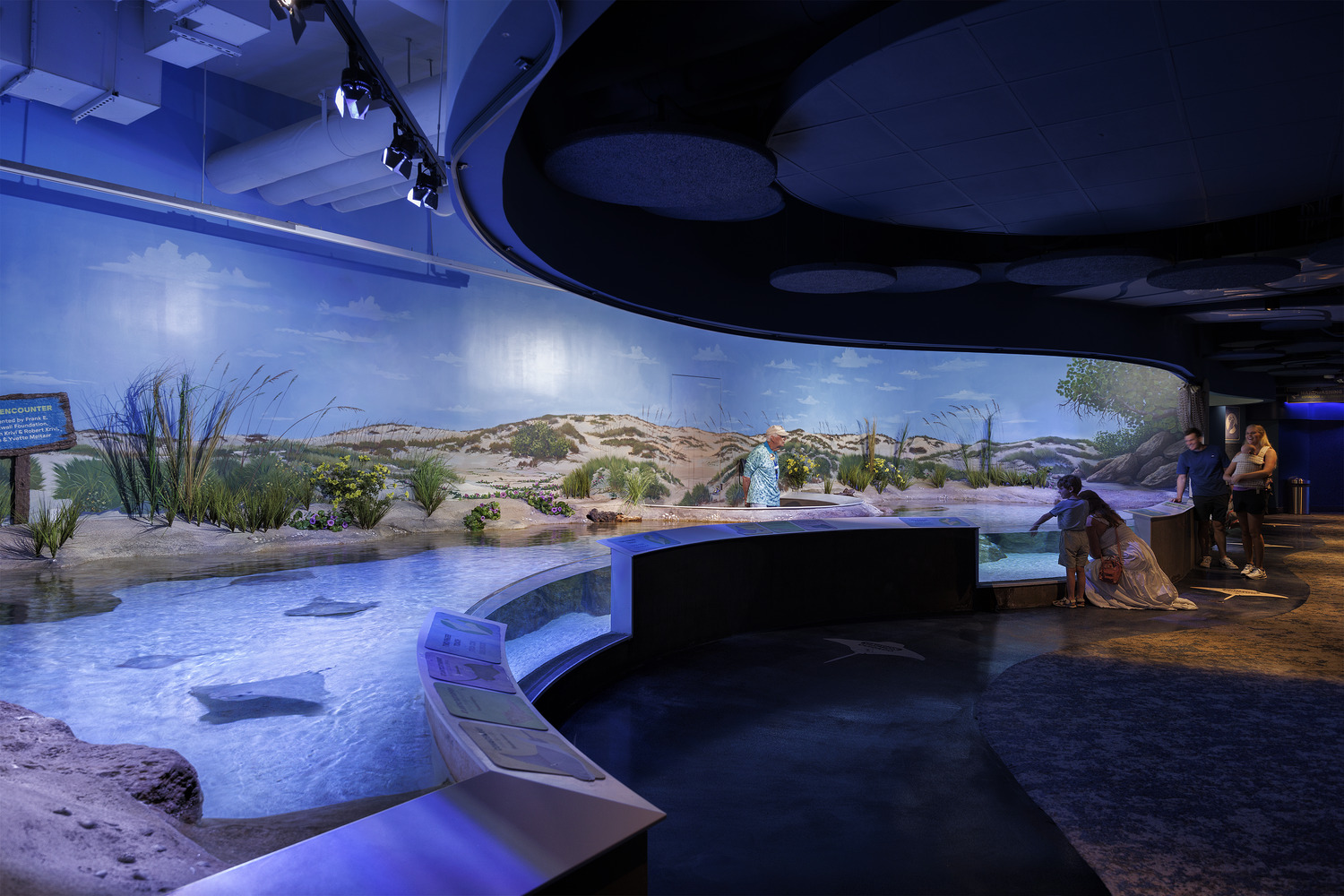Indoor exhibit with a realistic desert and water habitat display, featuring plants, water, sand dunes, and visitors observing and interacting with educational panels.