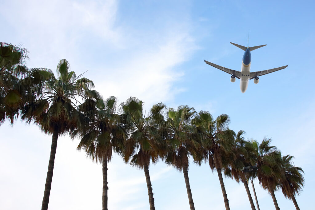 A commercial airplane flies overhead in a blue sky above a row of tall palm trees, capturing the spirit of travel to the AASHTO Annual Meeting.