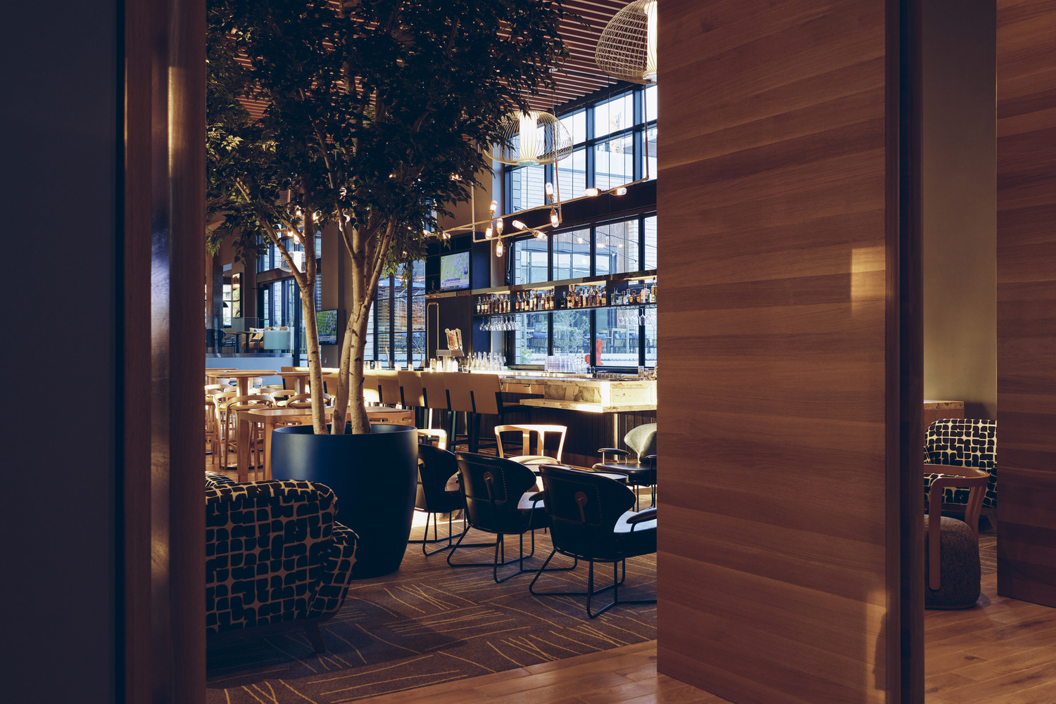 Modern bar and lounge area at Limelight Boulder with wooden decor, potted trees, high ceilings, and large windows letting in natural light—an inviting all-electric space.