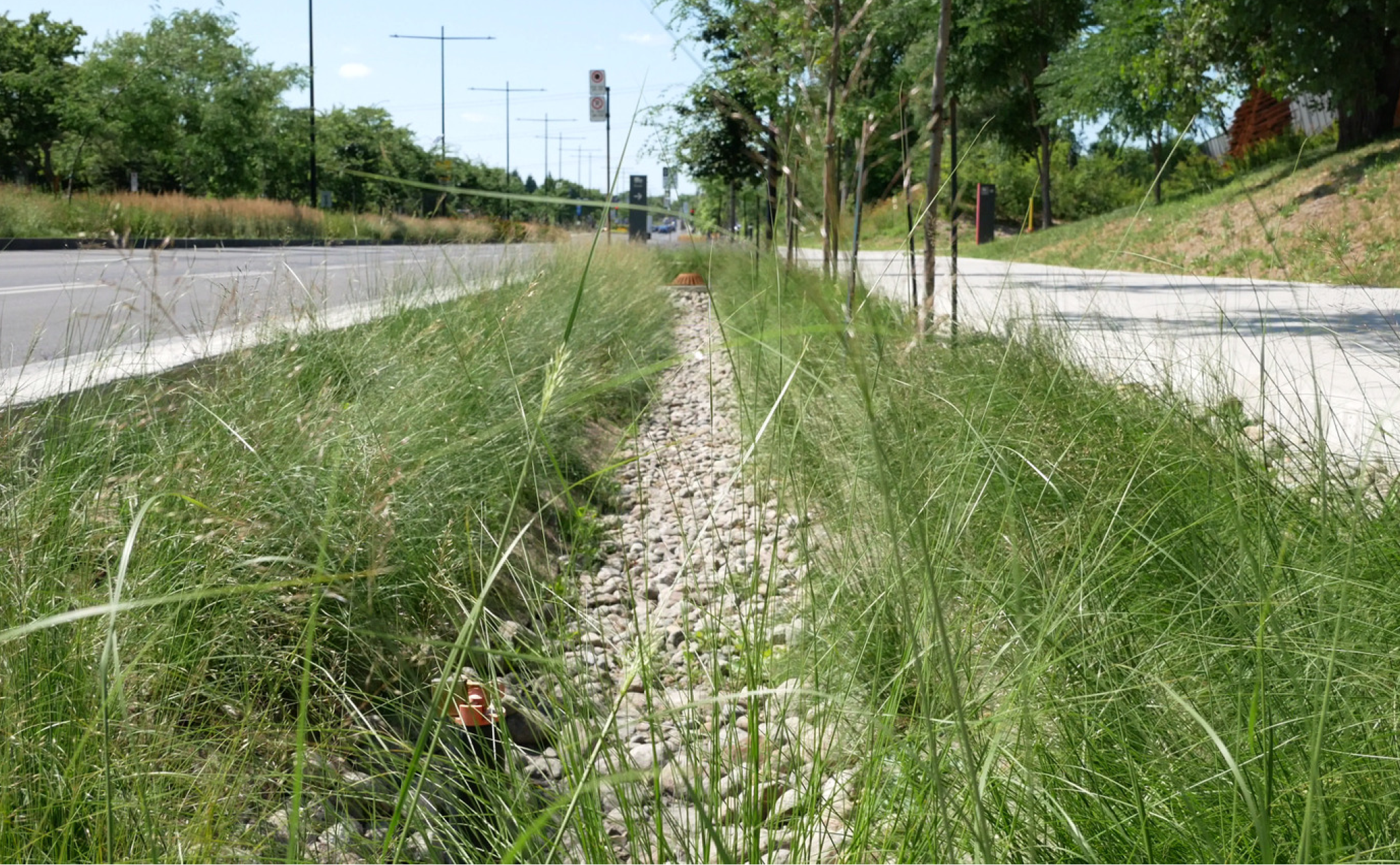Bassin de drainage des eaux pluviales situé entre une rue et un trottoir, avec des rochers au centre.