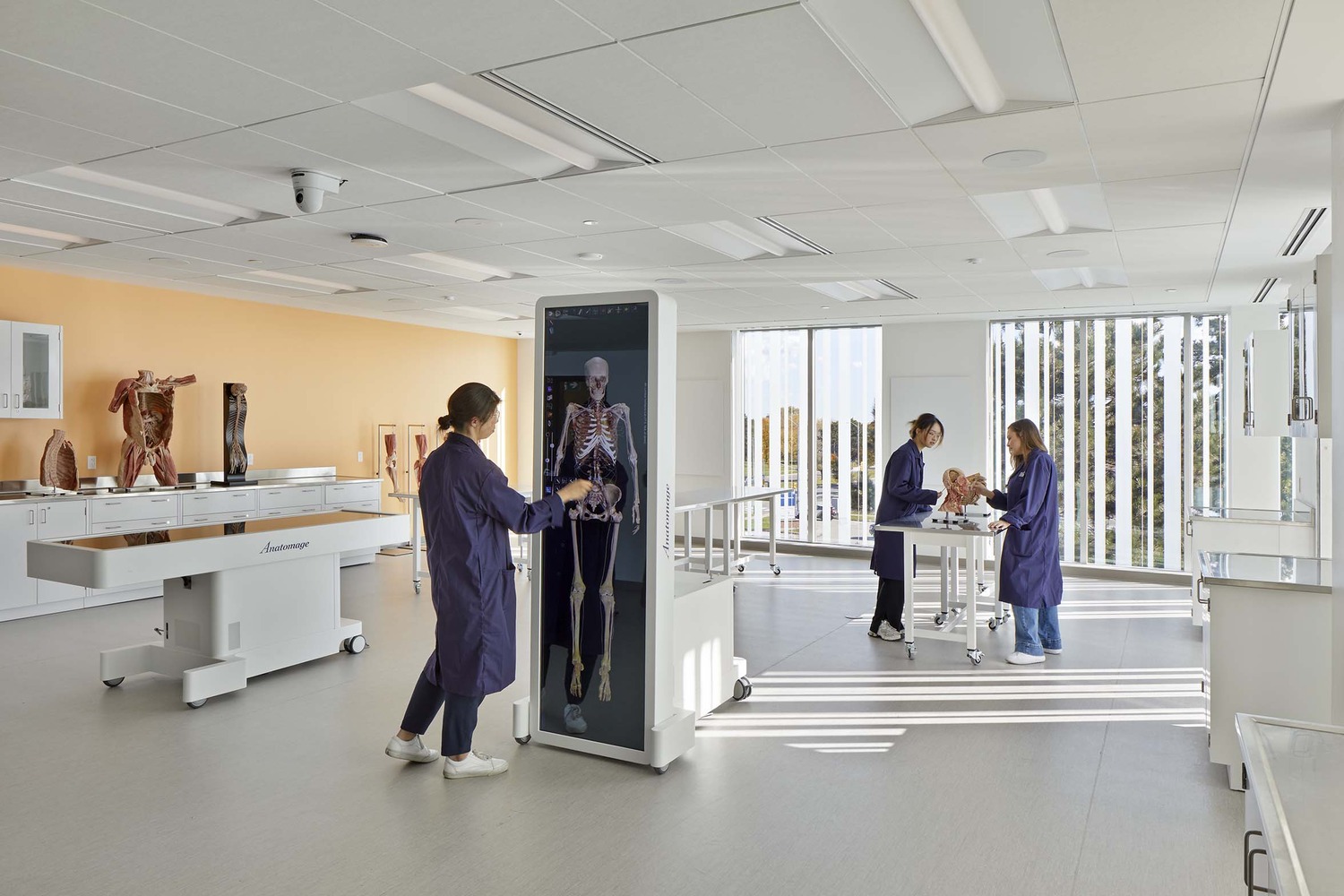Three people in lab coats work in a modern anatomical laboratory with a digital anatomy display and anatomical models on tables.