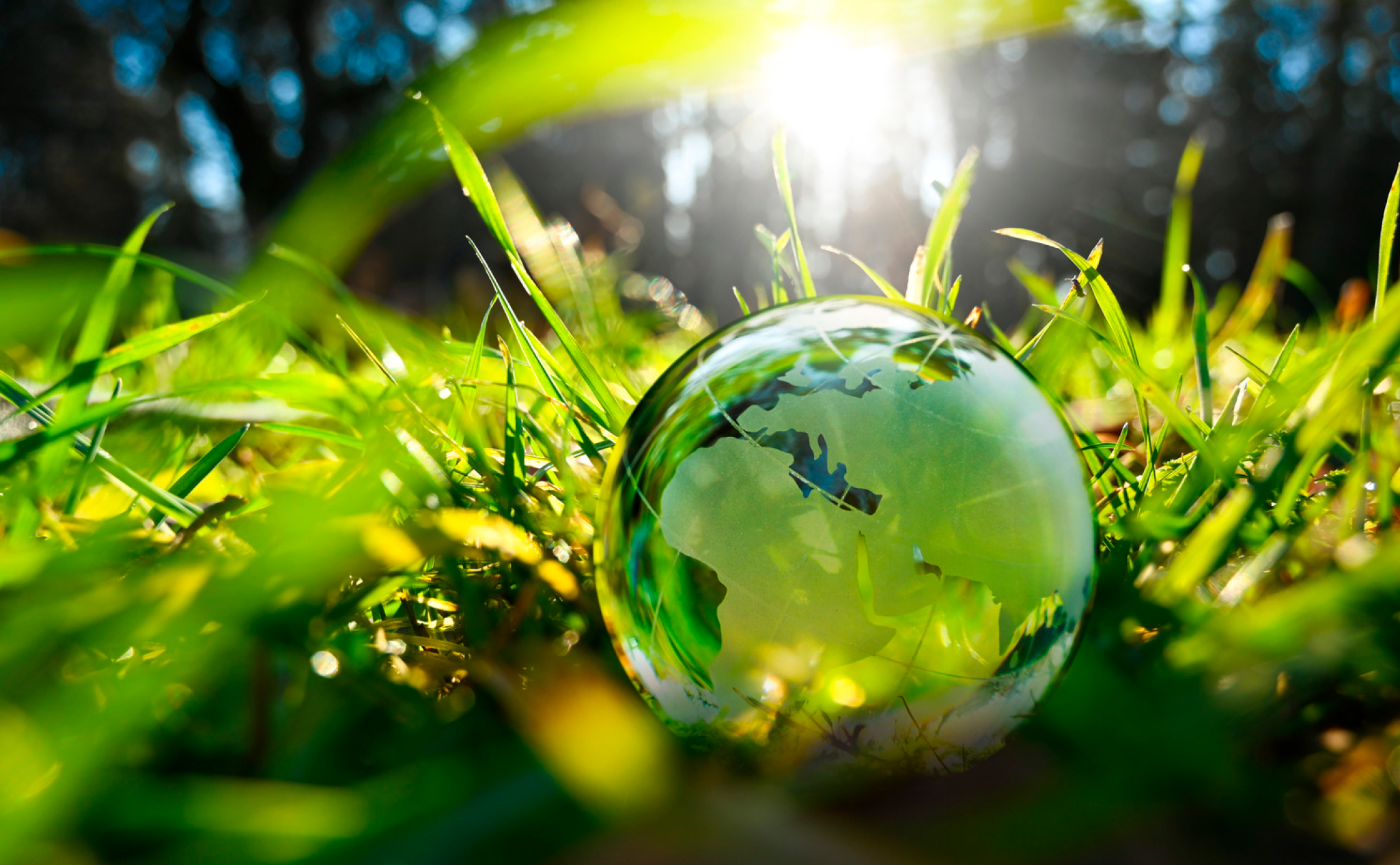 A glass globe rests on green grass with sunlight shining in the background.